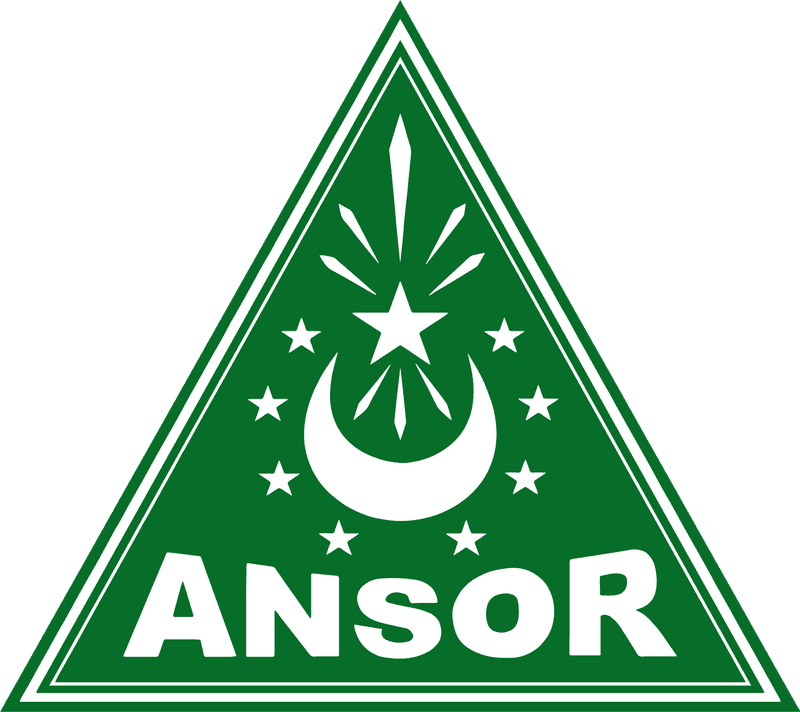 Logo berbentuk segitiga berwarna hijau dengan lambang bulan bintang dan teks ANSOR putih